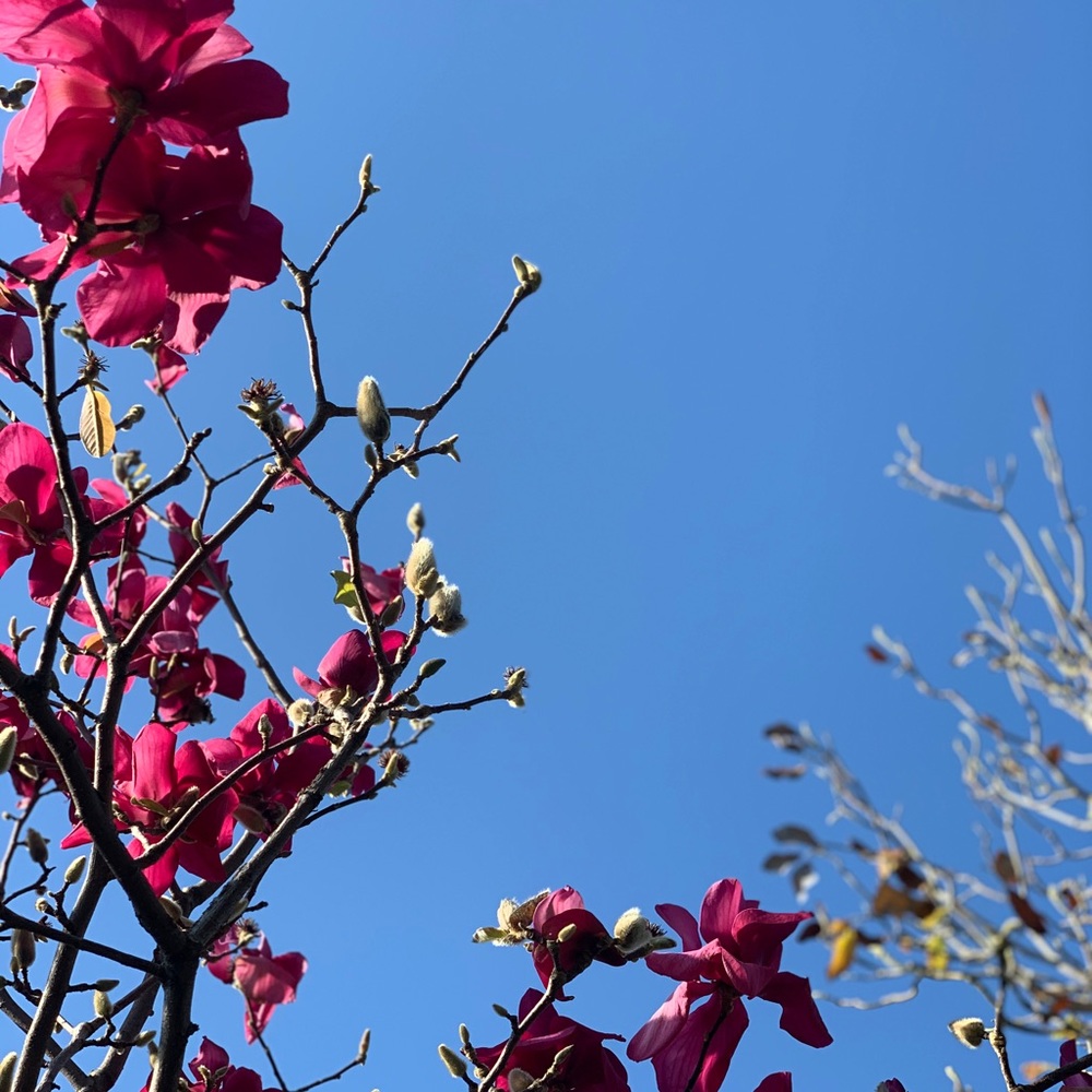 Meet your Posher, Maria